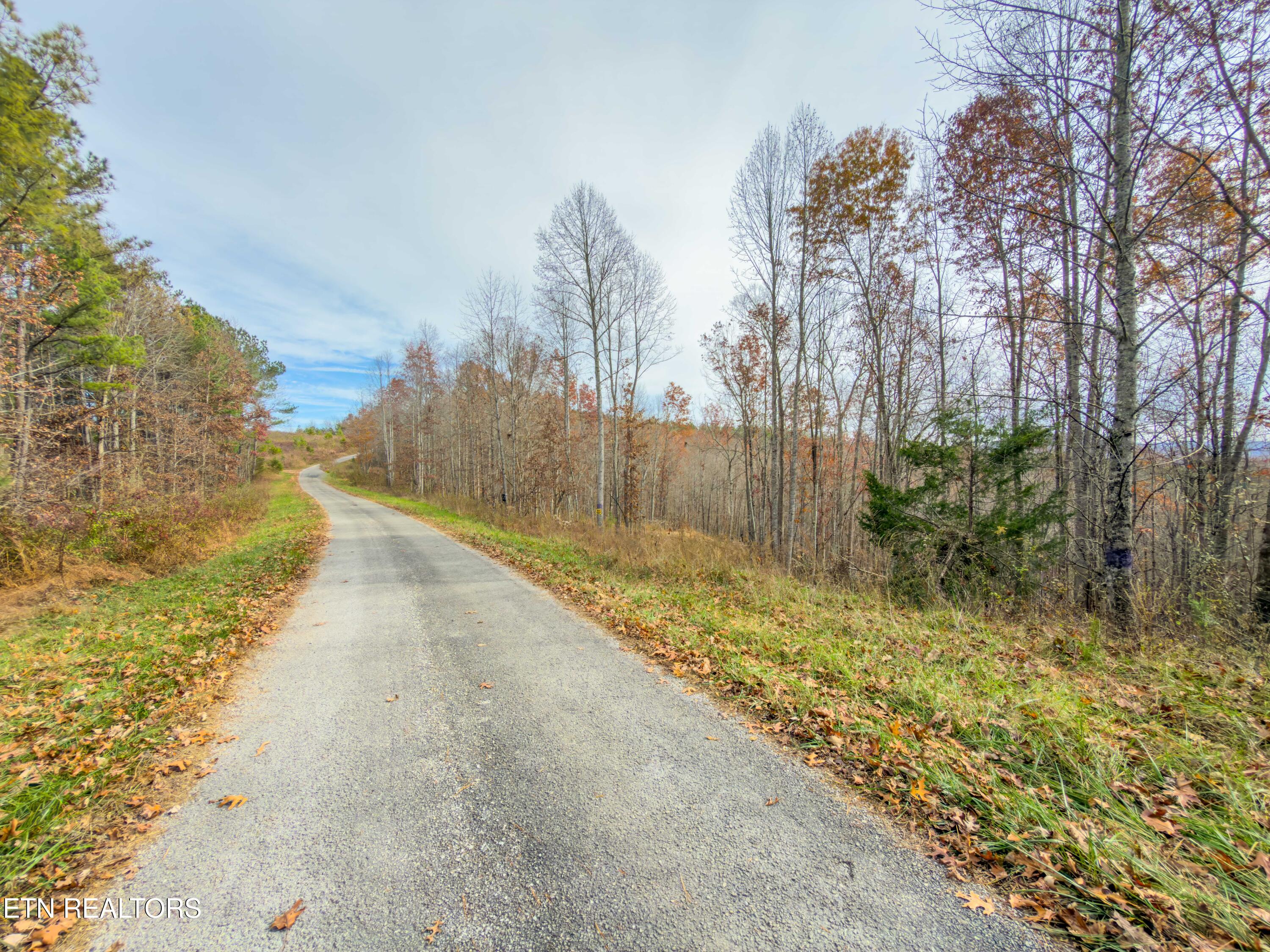 9745 Morgan County Highway Sunbright, TN 37872 - Photo 25 of 37 IMG_6485-Edit
