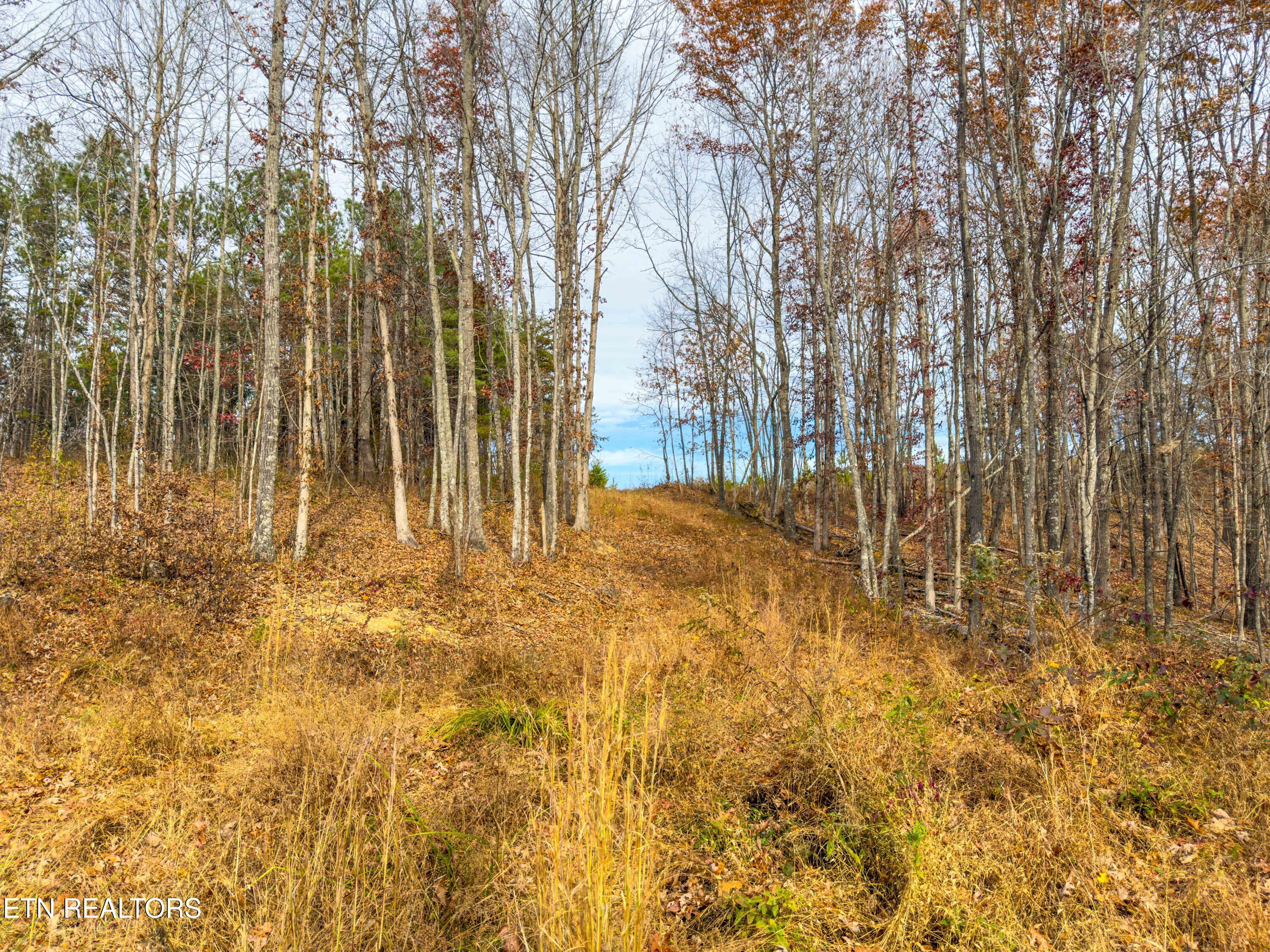 9745 Morgan County Highway Sunbright, TN 37872 - Photo 31 of 37 IMG_6493-Edit