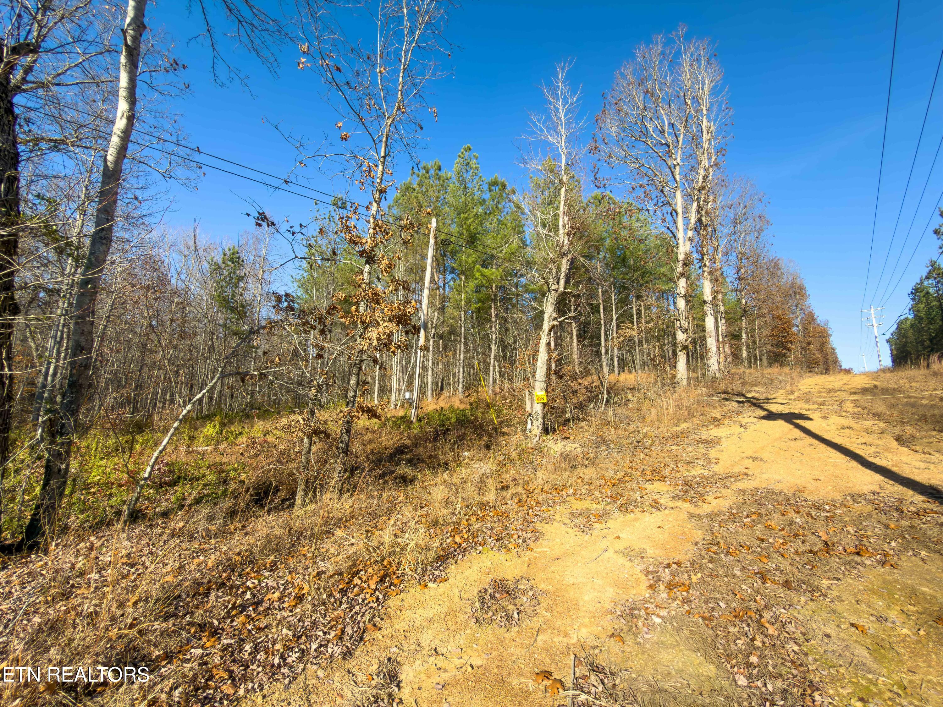 9745 Morgan County Highway Sunbright, TN 37872 - Photo 6 of 37 IMG_6460-Edit