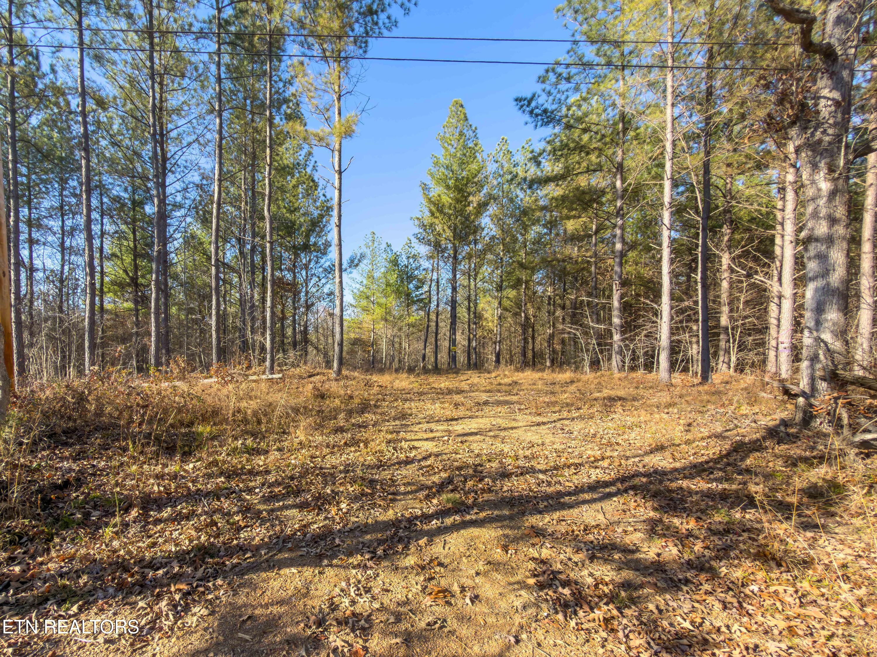 9745 Morgan County Highway Sunbright, TN 37872 - Photo 8 of 37 IMG_6465-Edit