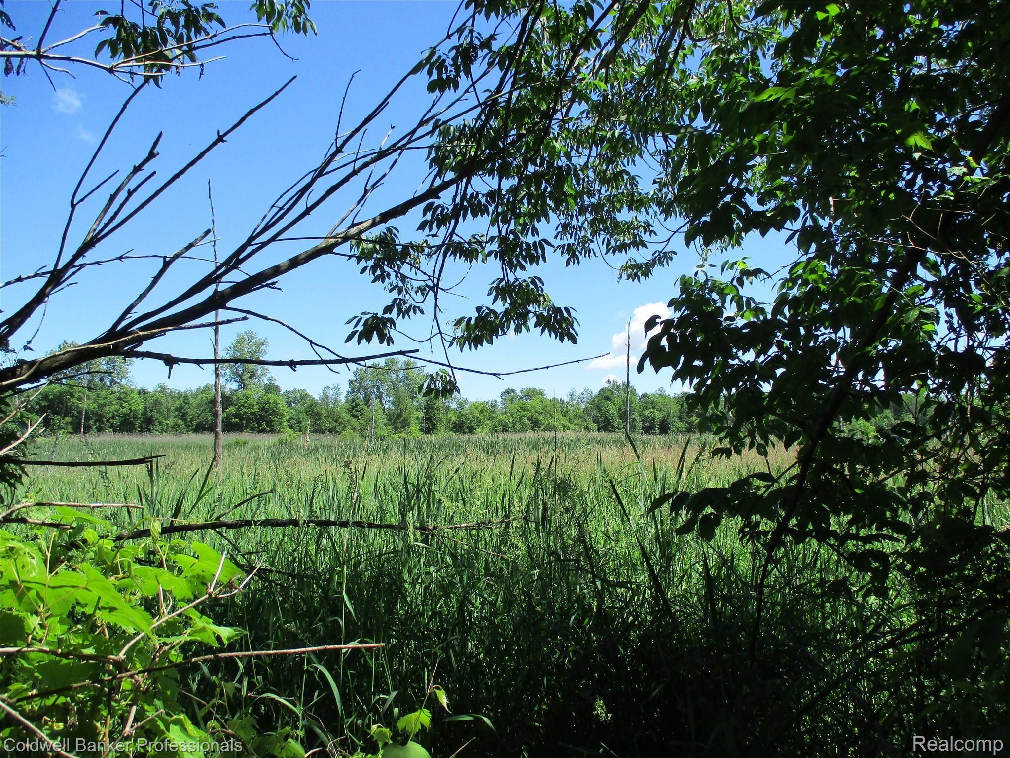 4405 East Lake Road Clio, MI 48420 - Photo 26 of 33 View.JPG
