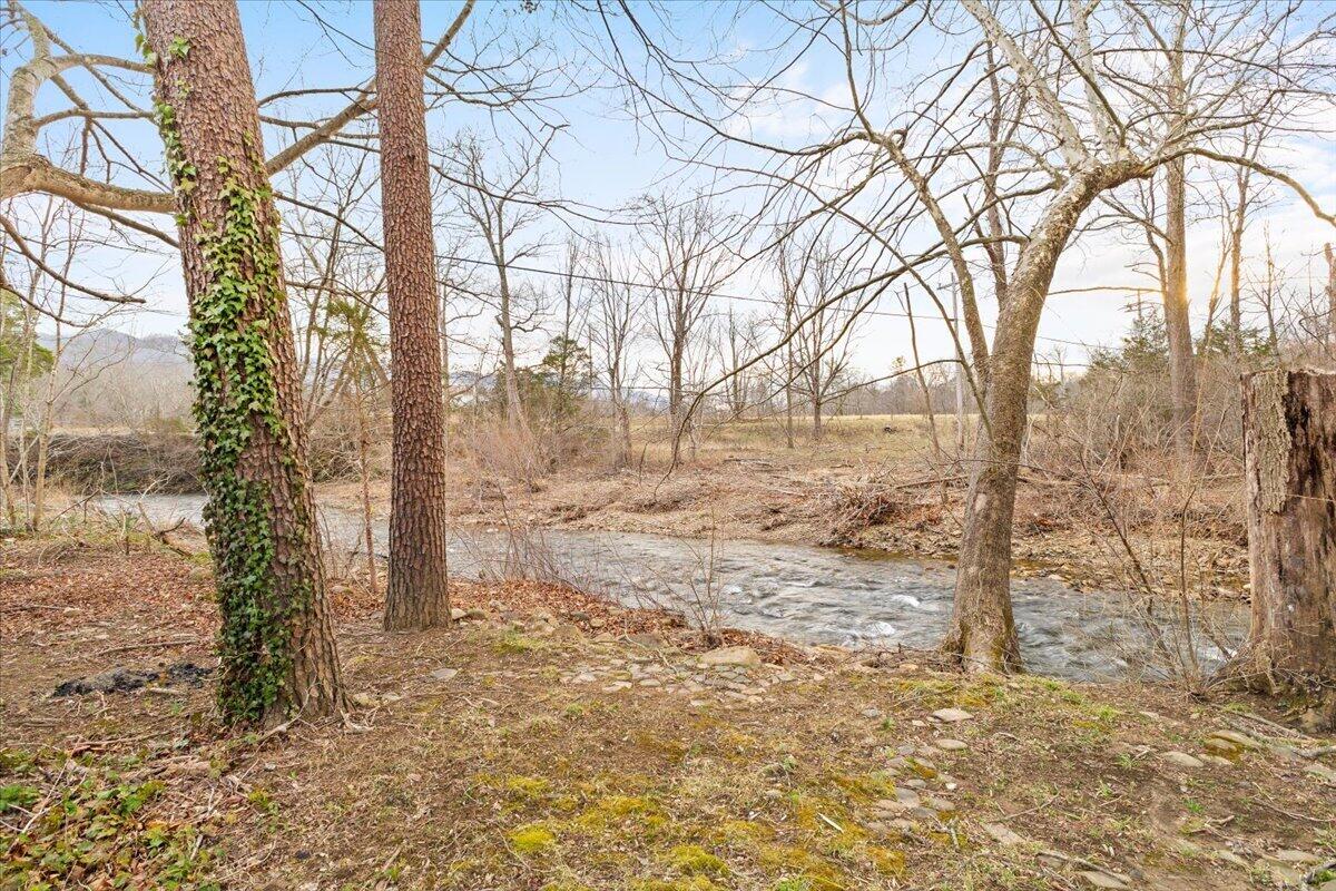 6742 Upper Craigs Creek Road Catawba, VA 24070 - Photo 4 of 23 a view of a yard with trees