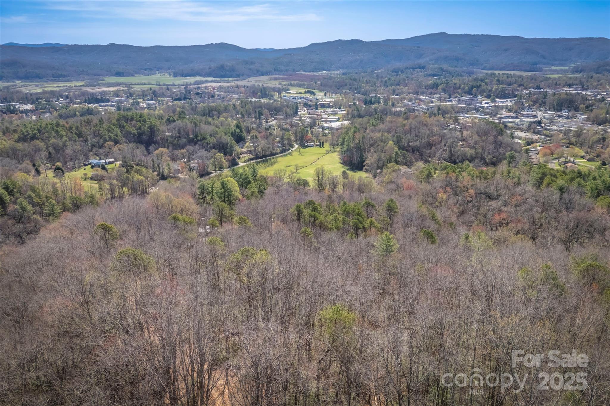 Lot 3 Heavenly Hill Road, Unit 3 Brevard, NC 28712 - Photo 11 of 26 a view of a lush green hillside and a building