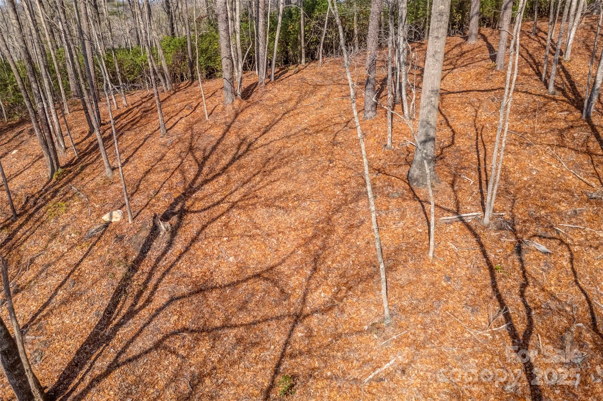 Lot 3 Heavenly Hill Road, Unit 3 Brevard, NC 28712 - Photo 12 of 26 a backyard of a house with lots of green space