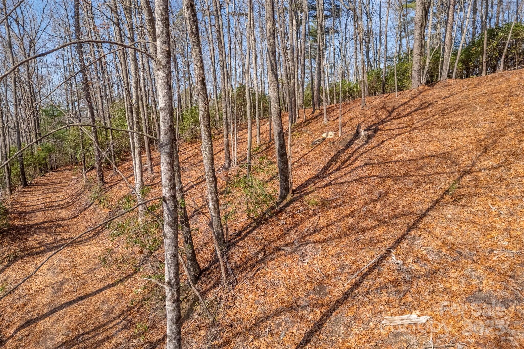 Lot 3 Heavenly Hill Road, Unit 3 Brevard, NC 28712 - Photo 13 of 26 a view of a backyard