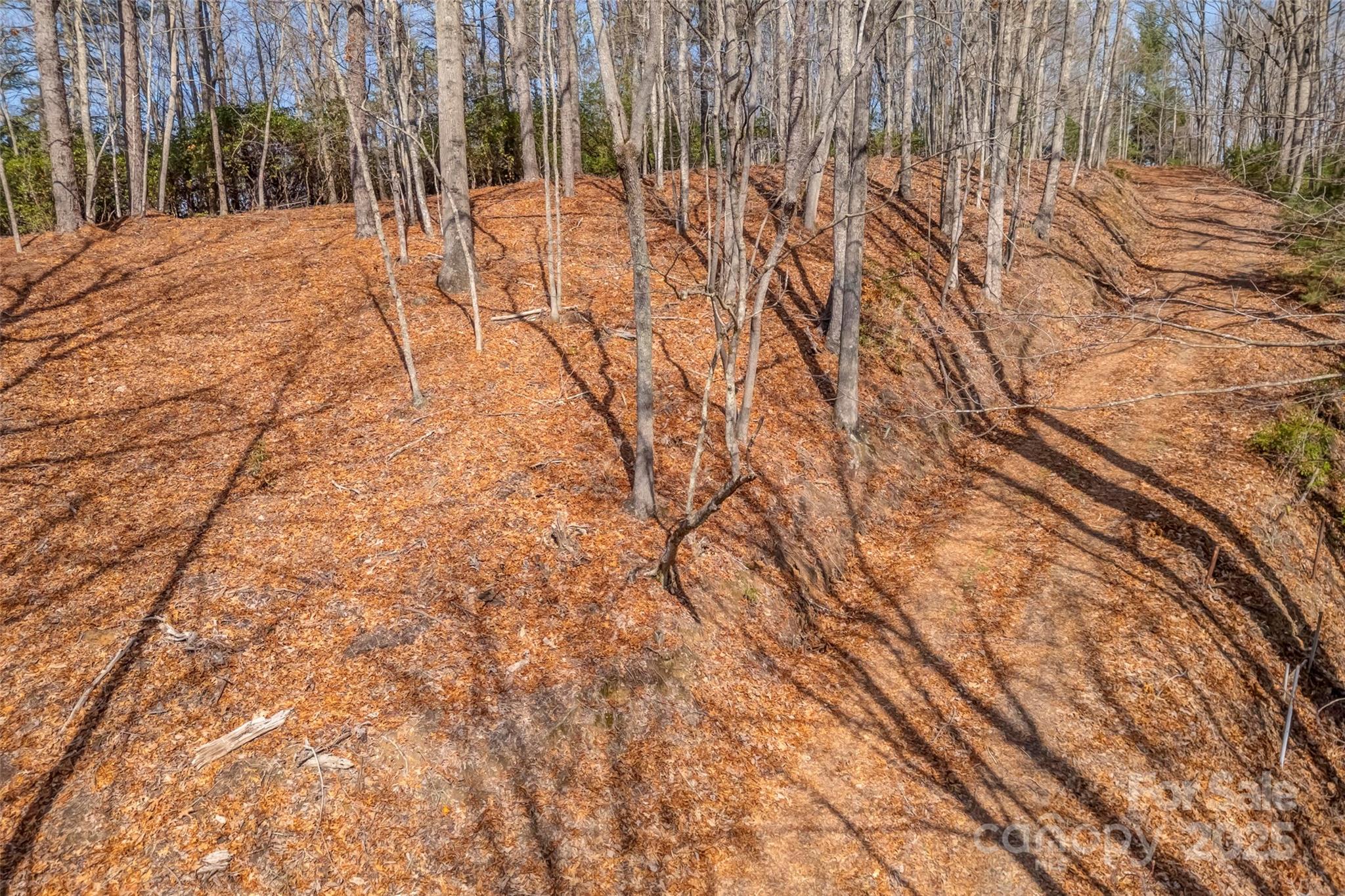 Lot 3 Heavenly Hill Road, Unit 3 Brevard, NC 28712 - Photo 14 of 26 a outdoor space with patio