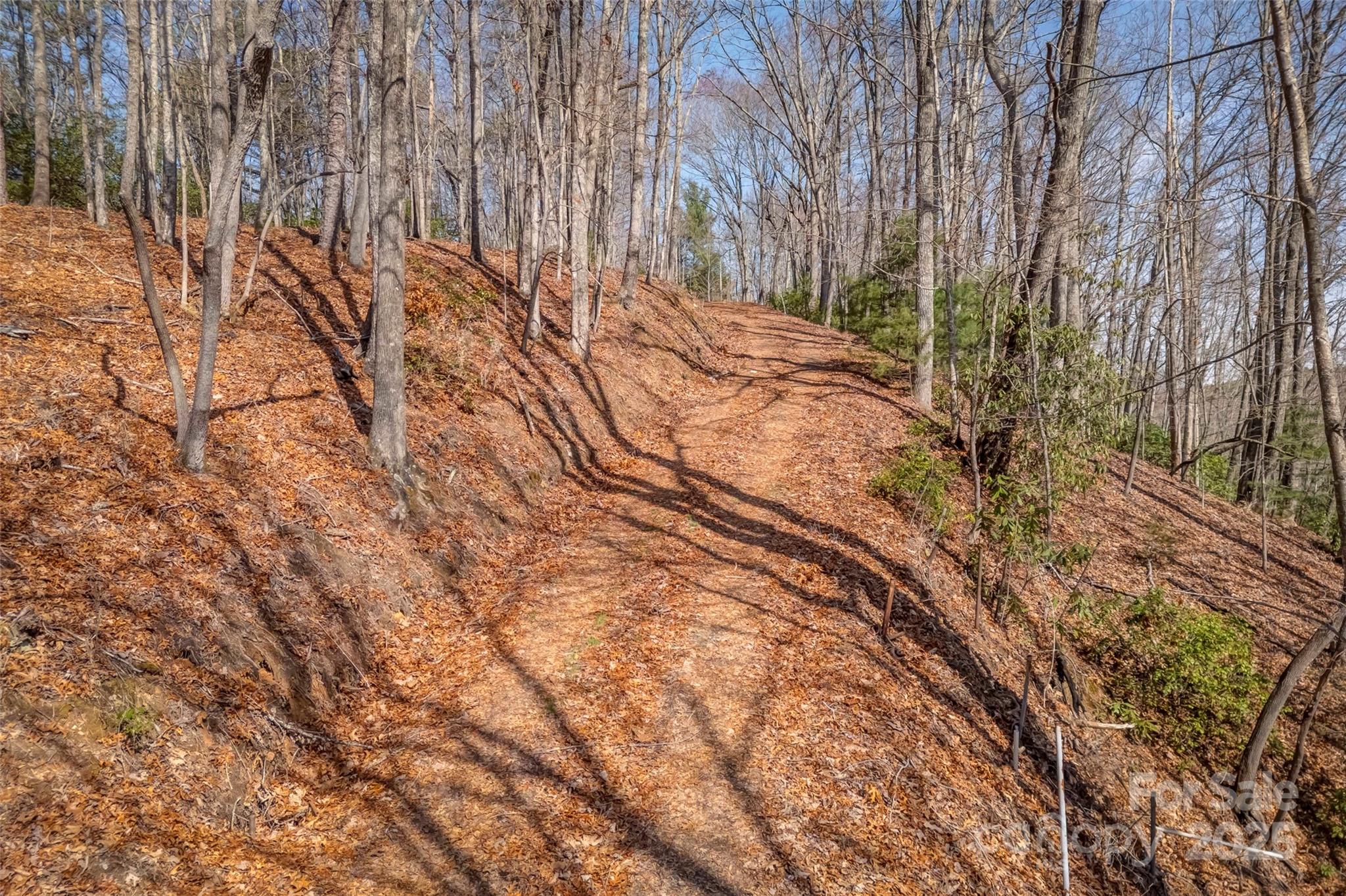 Lot 3 Heavenly Hill Road, Unit 3 Brevard, NC 28712 - Photo 15 of 26 a view of mountain view with yard