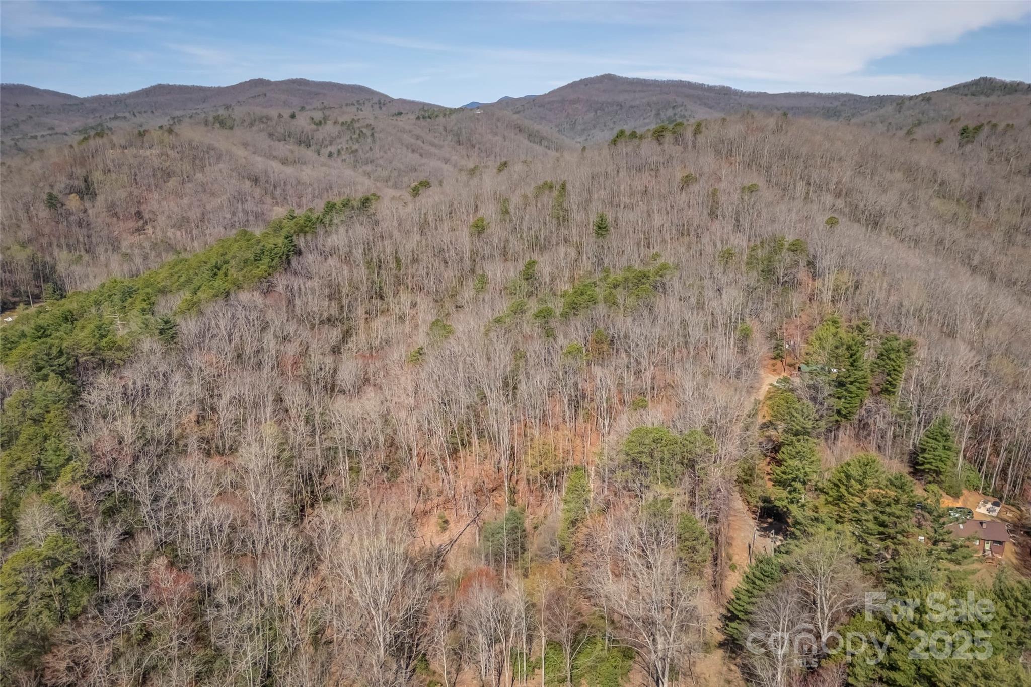 Lot 3 Heavenly Hill Road, Unit 3 Brevard, NC 28712 - Photo 16 of 26 a view of mountains in the distance