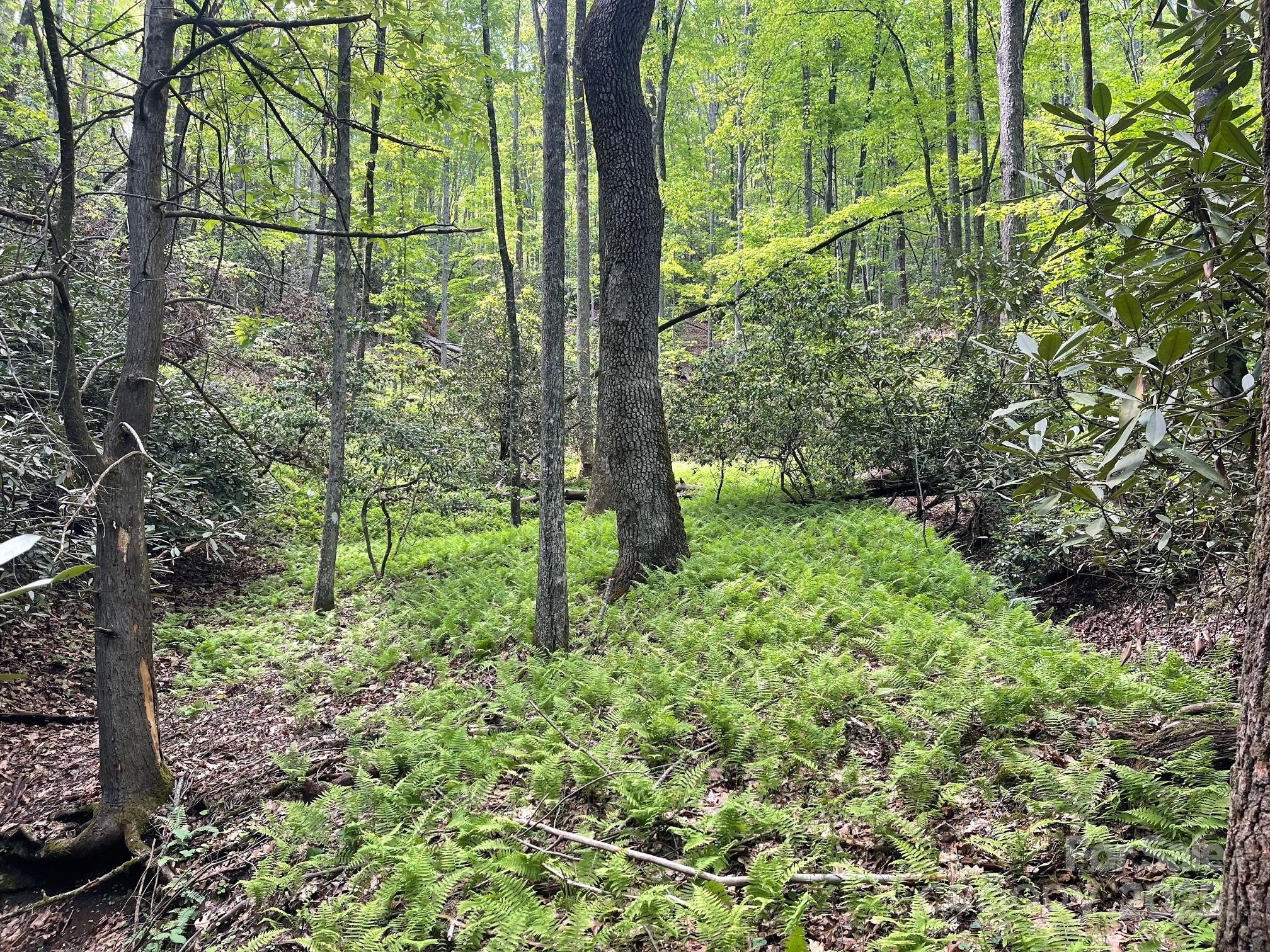 Lot 3 Heavenly Hill Road, Unit 3 Brevard, NC 28712 - Photo 19 of 26 a view of outdoor space and garden
