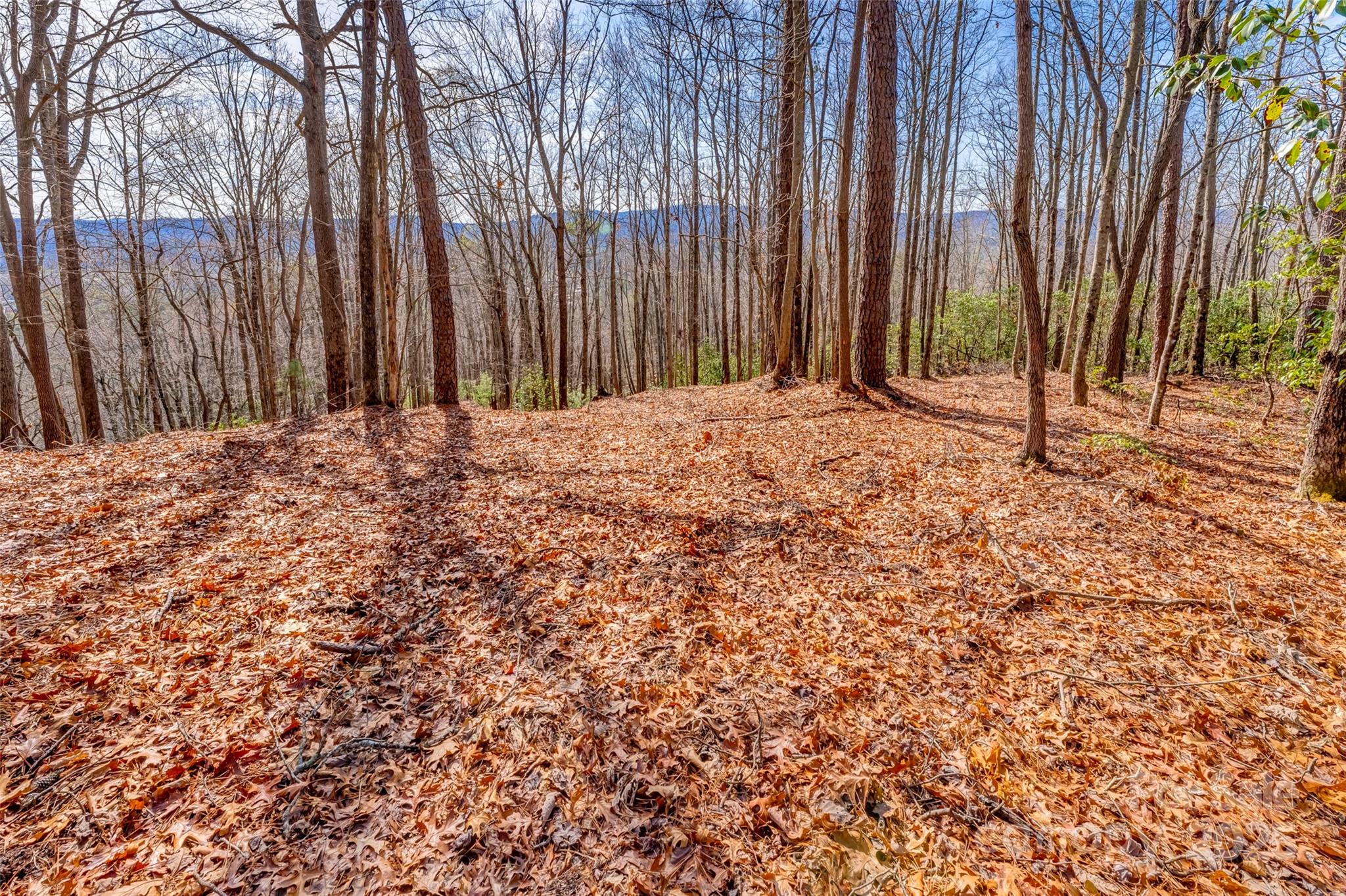 Lot 3 Heavenly Hill Road, Unit 3 Brevard, NC 28712 - Photo 2 of 26 a backyard of a house with large trees and wooden fence