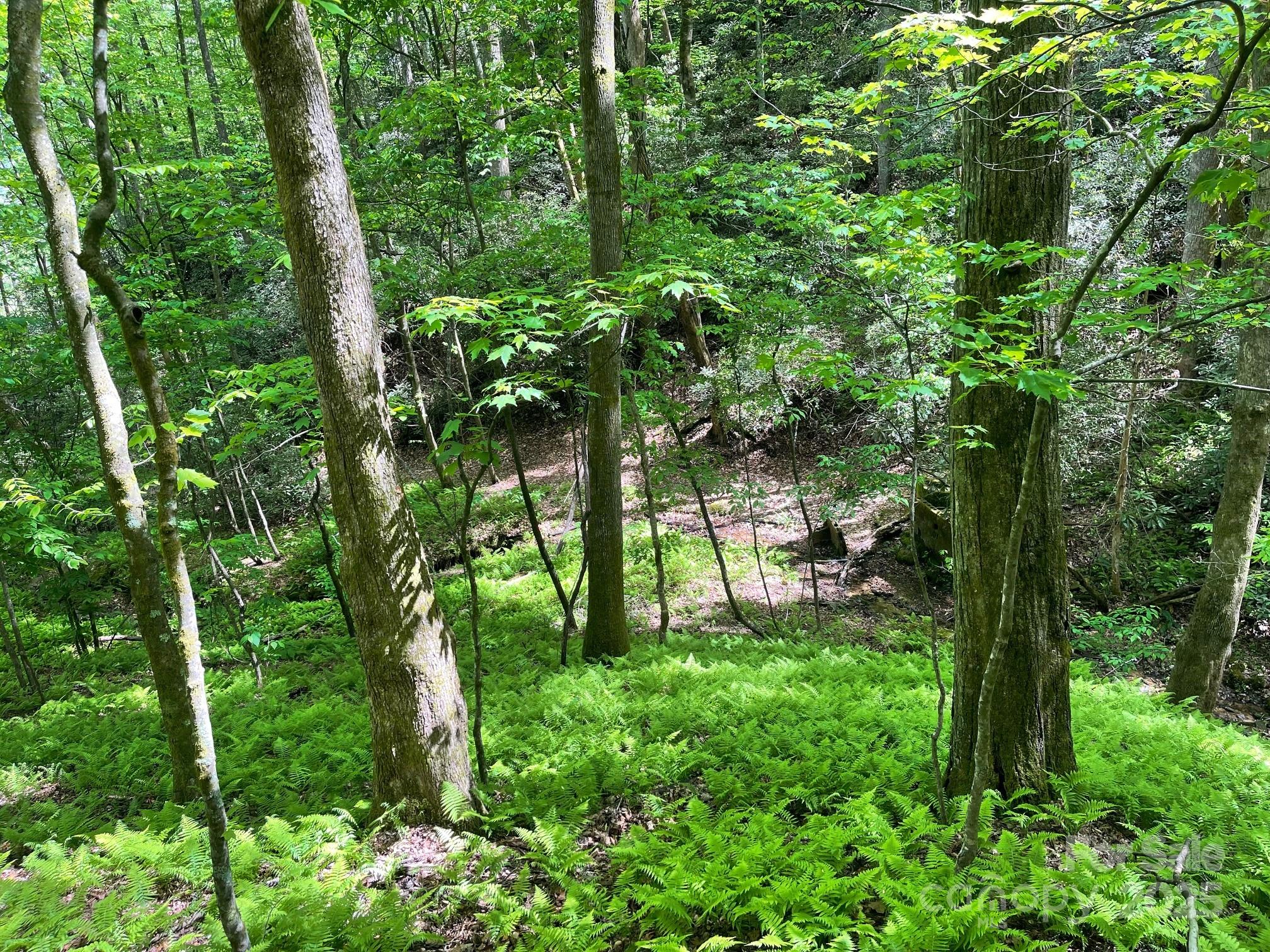 Lot 3 Heavenly Hill Road, Unit 3 Brevard, NC 28712 - Photo 21 of 26 a backyard of a house with lots of green space