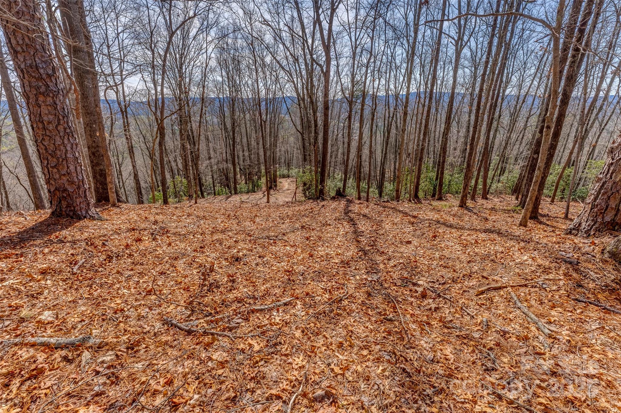 Lot 3 Heavenly Hill Road, Unit 3 Brevard, NC 28712 - Photo 3 of 26 a wooden fence with trees in the background
