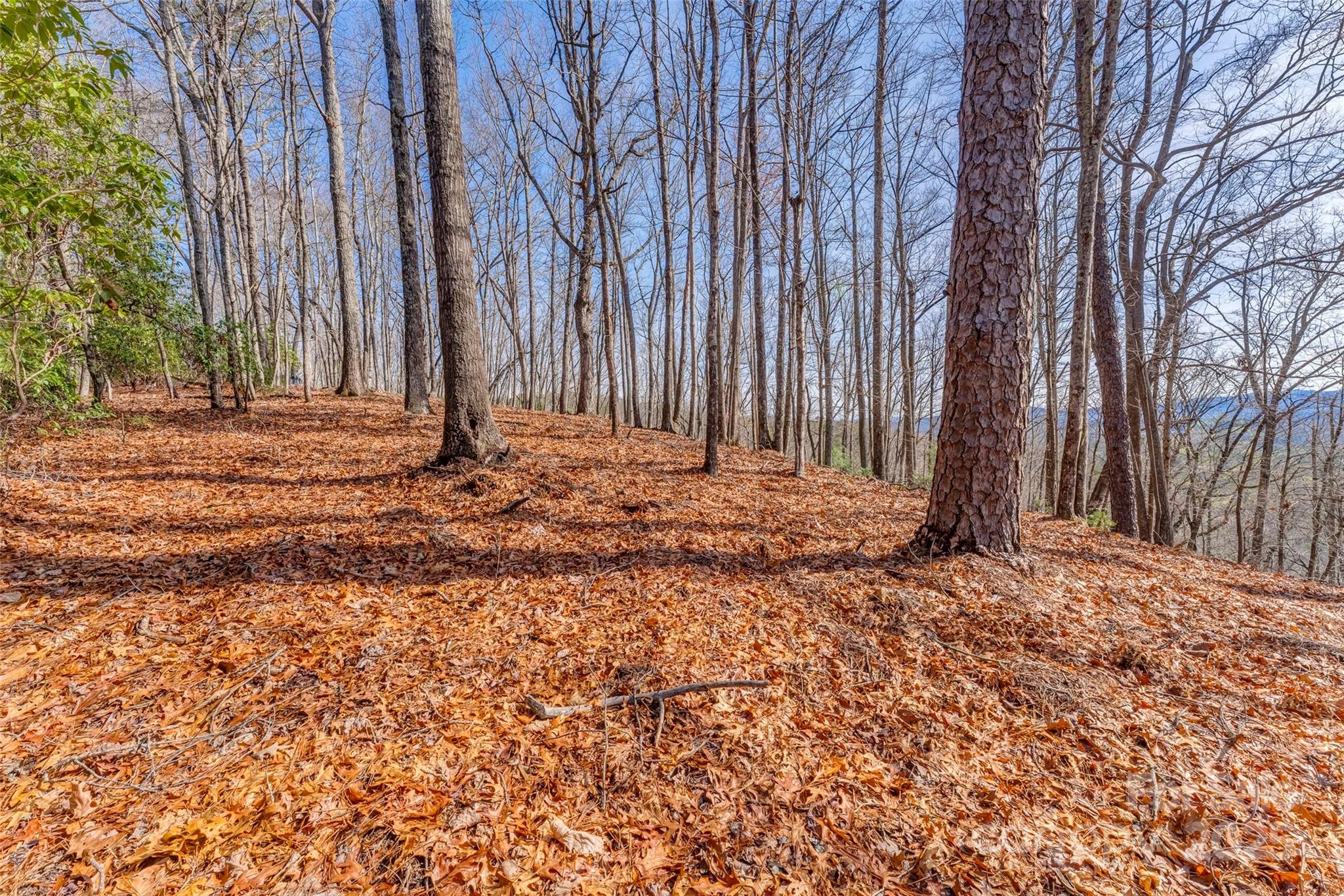 Lot 3 Heavenly Hill Road, Unit 3 Brevard, NC 28712 - Photo 4 of 26 a backyard of a house with large trees