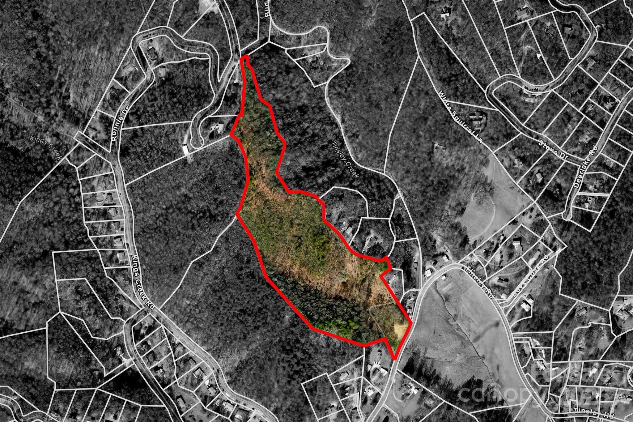 Lot 3 Heavenly Hill Road, Unit 3 Brevard, NC 28712 - Photo 5 of 26