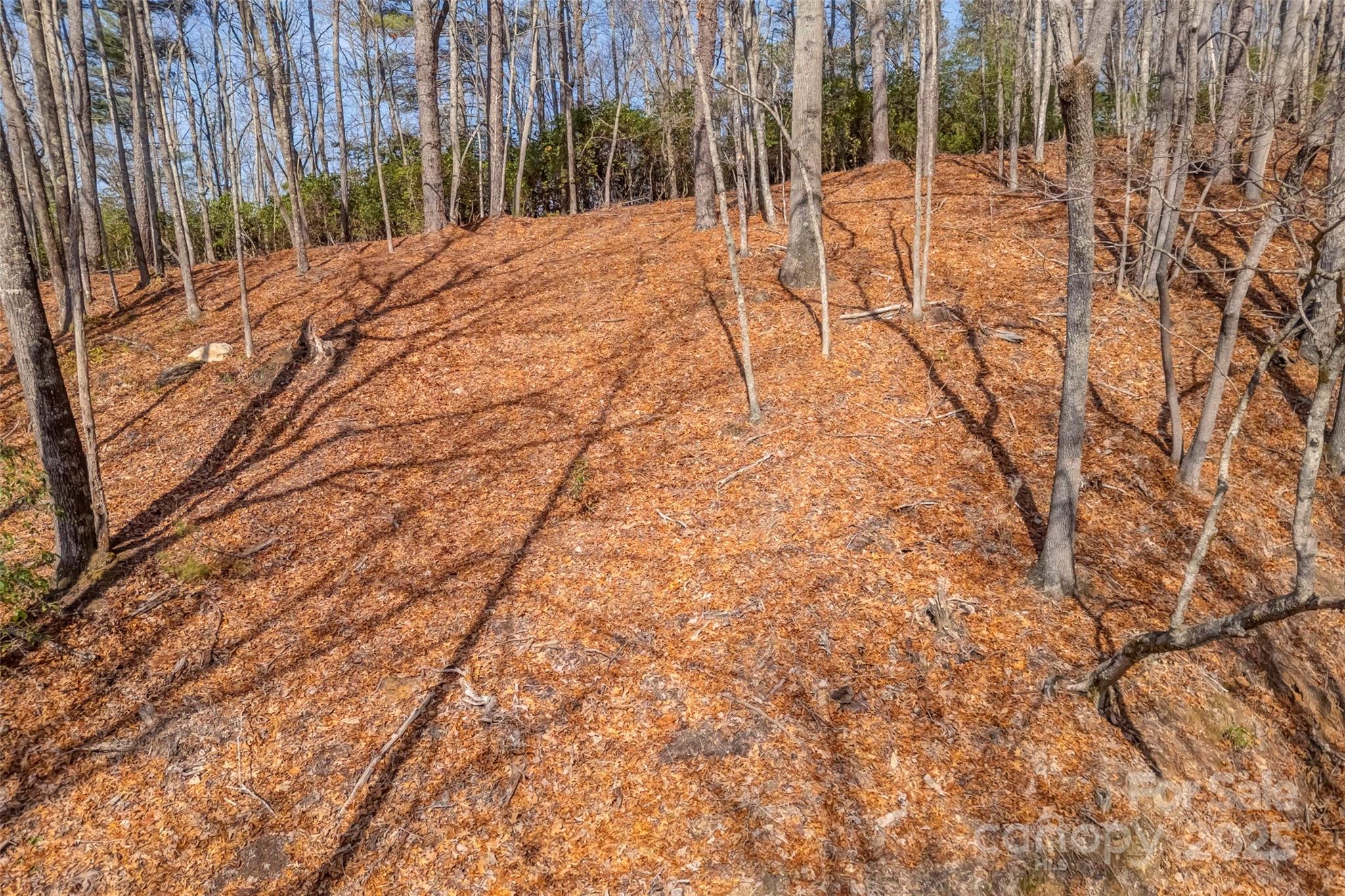 Lot 3 Heavenly Hill Road, Unit 3 Brevard, NC 28712 - Photo 9 of 26 a outdoor space with patio entrance and yard