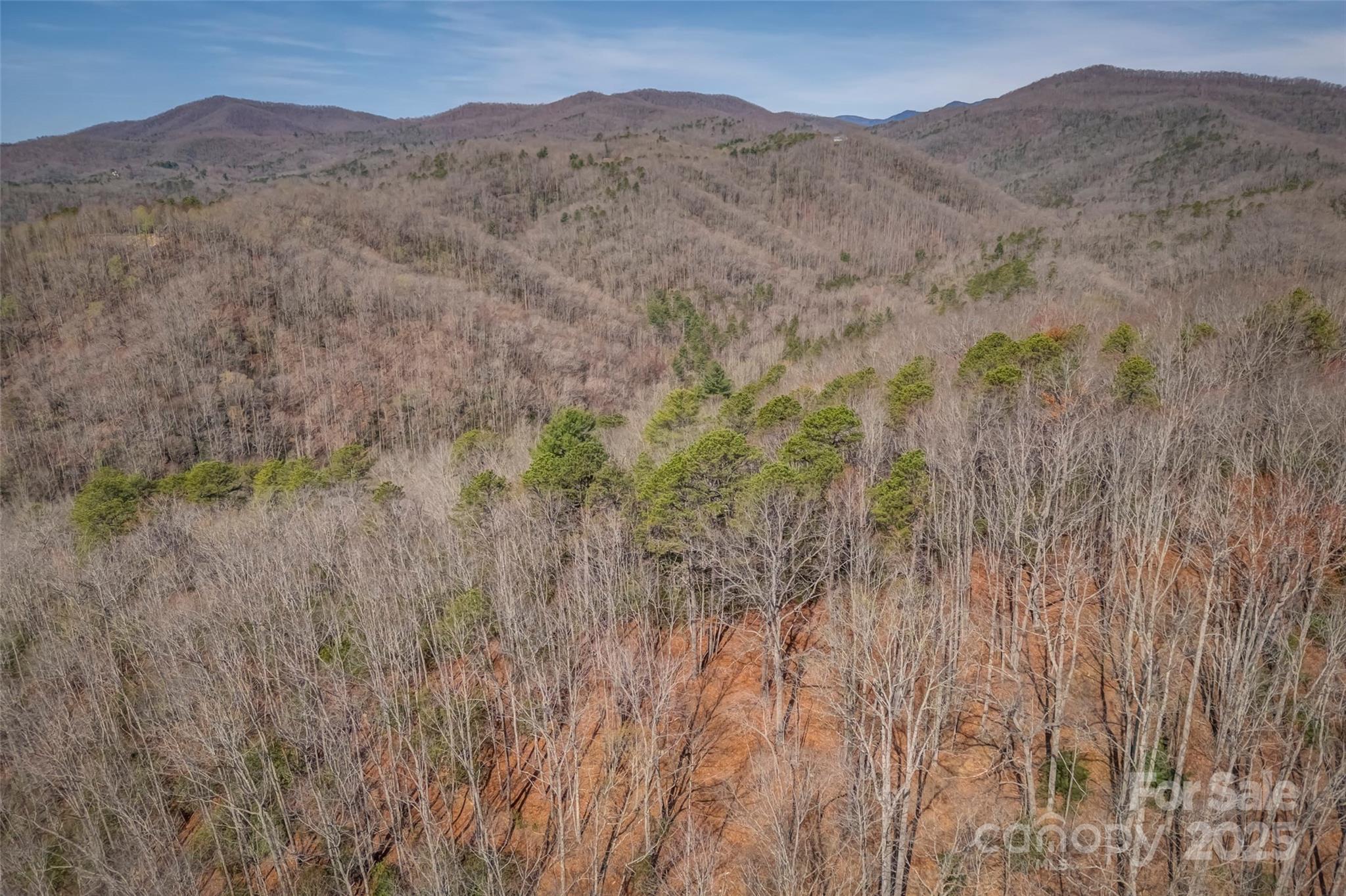 Lot 3 Heavenly Hill Road, Unit 3 Brevard, NC 28712 - Photo 10 of 26 a view of a mountain in the distance in a field