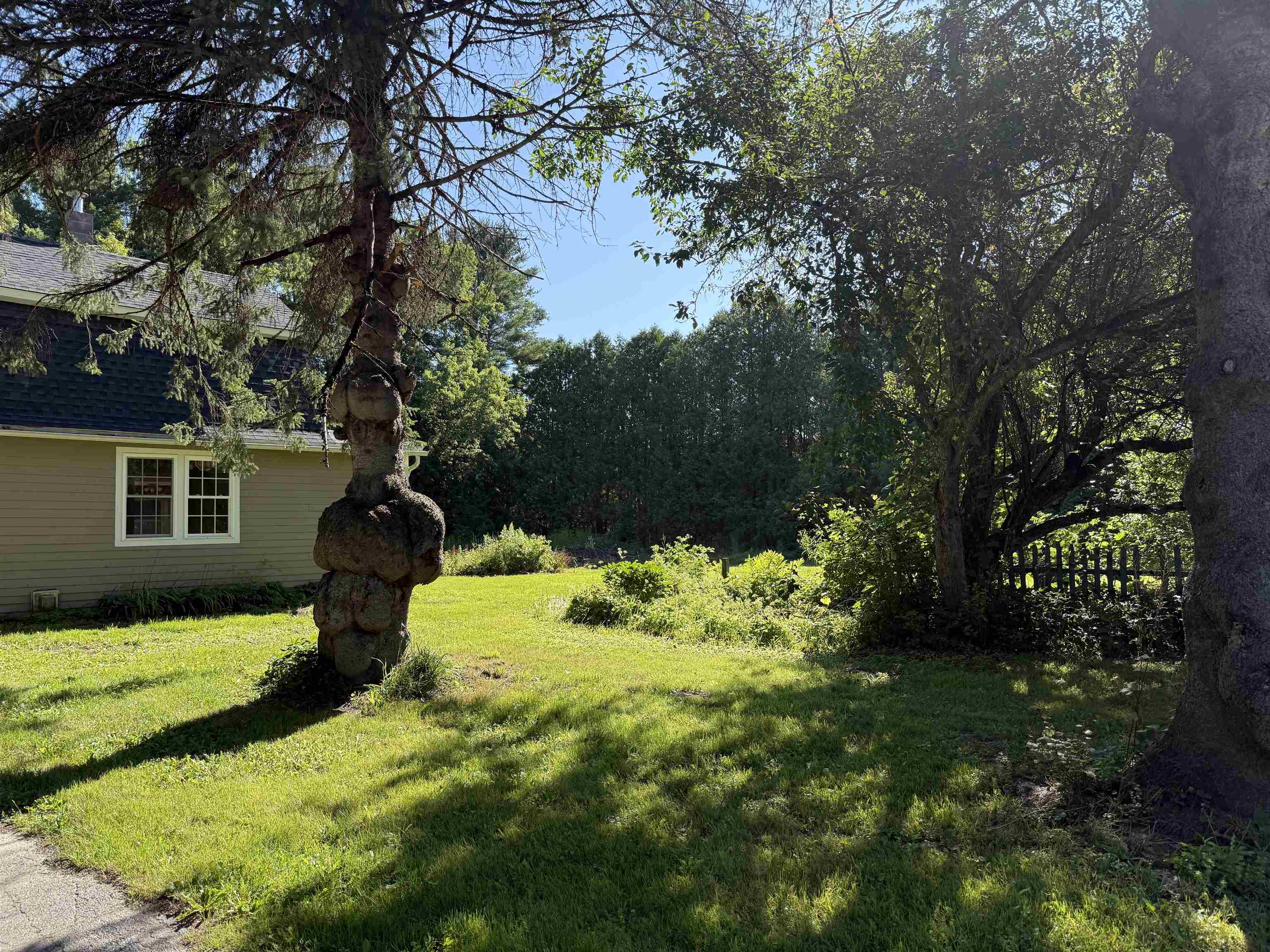 124 3 Mile Bridge Road Middlesex, VT 05602 - Photo 4 of 35