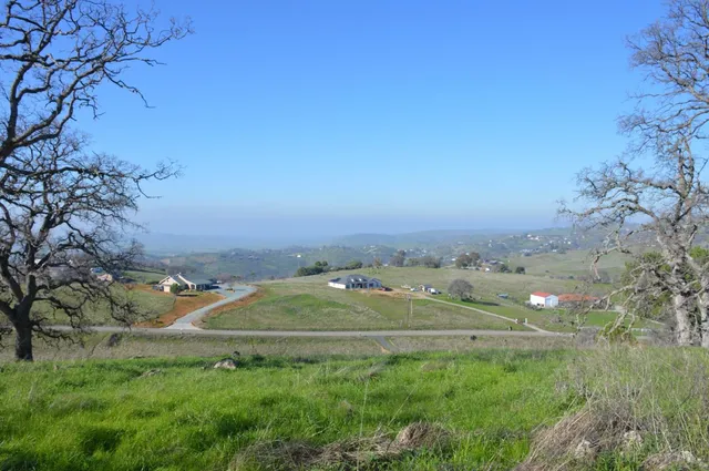 a view of a field of grass and trees