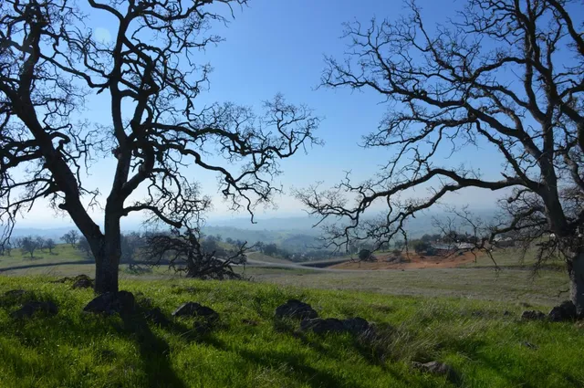 a view of a backyard of the house