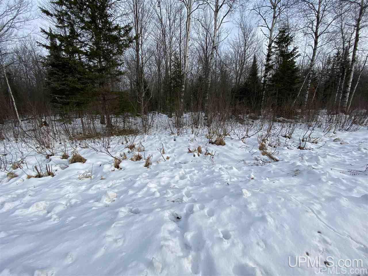 On South Barber Road Bessemer, MI 49911 - Photo 19 of 21 Gallery Image 19