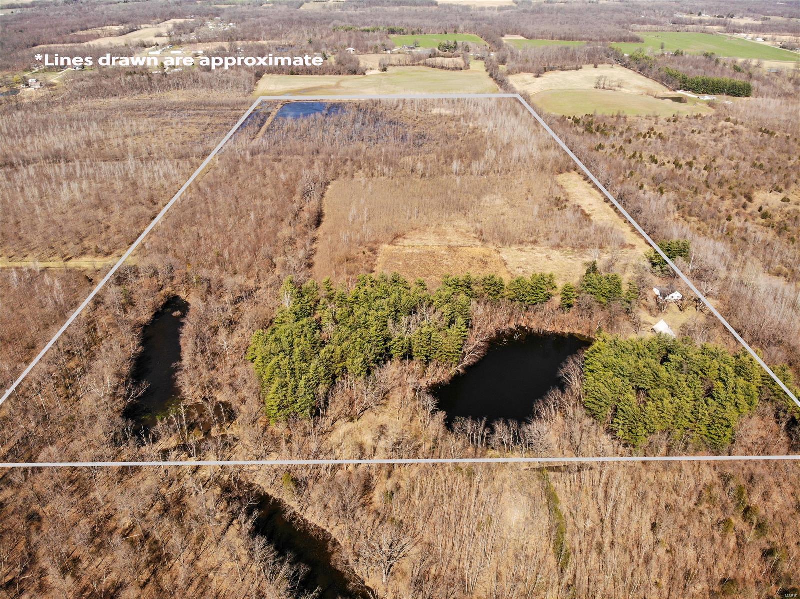 1503 Green Street Road Odin, IL 62870 - Photo 1 of 38
