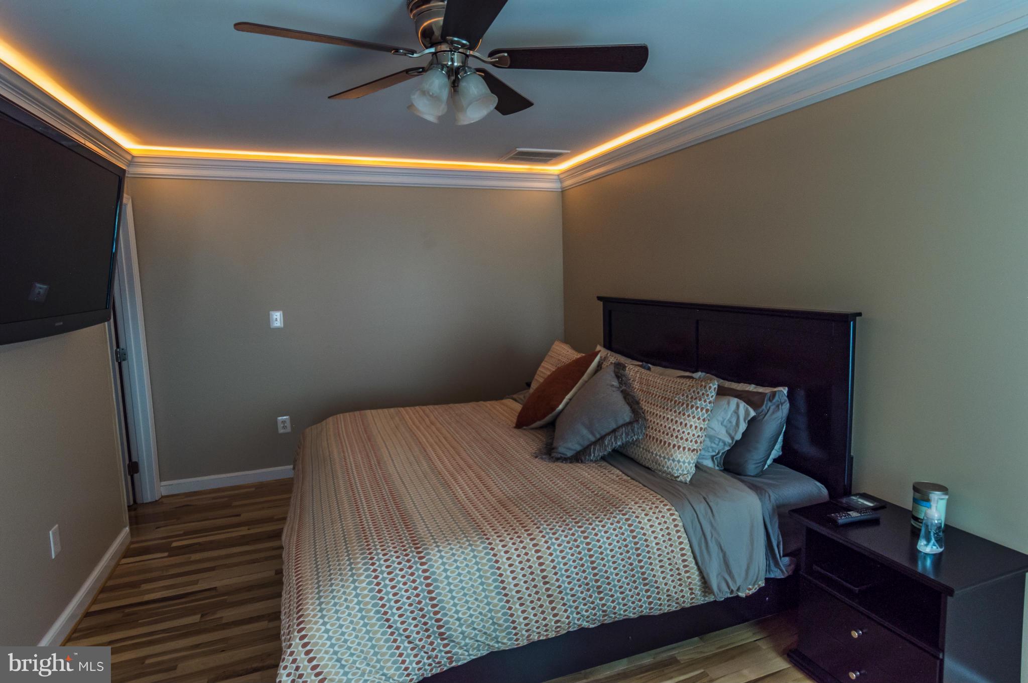 5912 Hillside Road St. Leonard, MD 20685 - Photo 14 of 30 Tray lighting