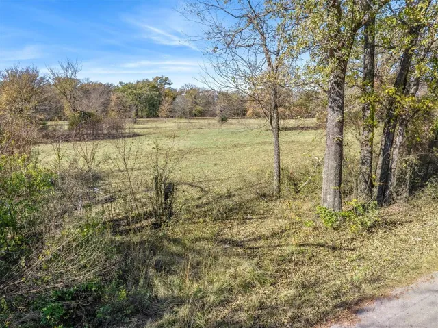an aerial view of residential houses with outdoor space and trees