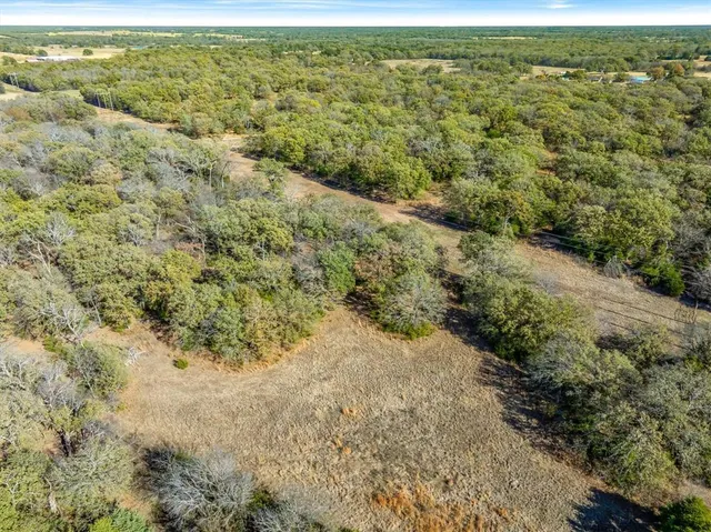 a view of a lush green forest with lush green forest