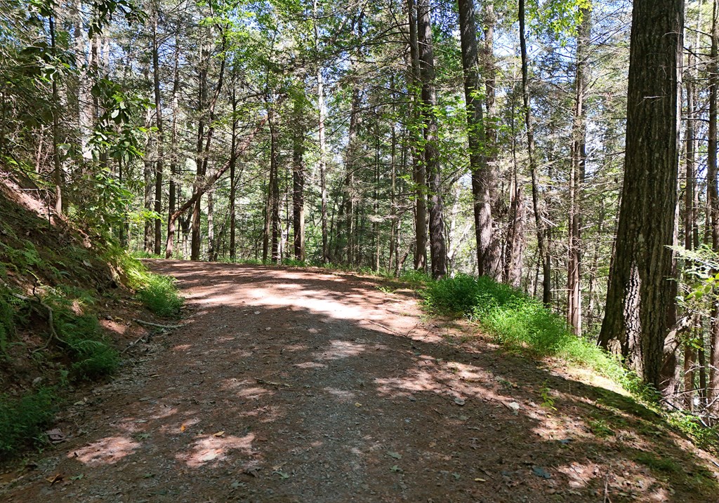12.22-ac Kell's Ridge Court Ellijay, GA 30540 - Photo 7 of 21 Gallery Image 7