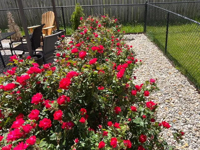 $256,000 | 2987 West Longbranch Drive, Monrovia, IN 46157