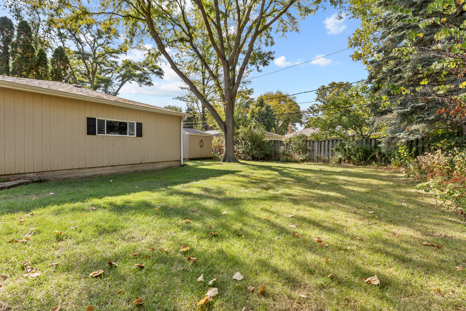 240 Scott Avenue Glen Ellyn, IL 60137 - Photo 25 of 25 a view of a backyard with large trees