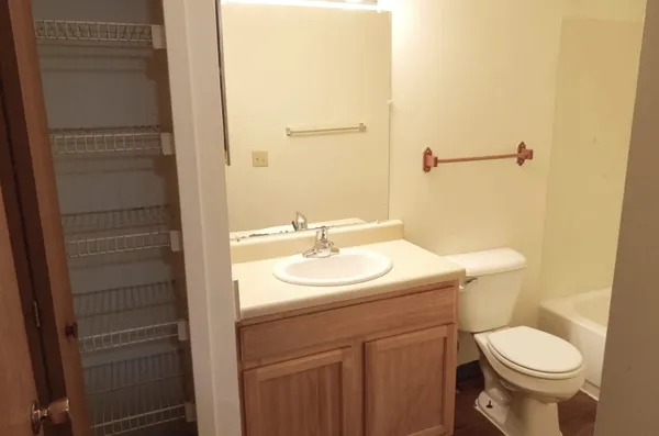 a bathroom with a sink and a toilet