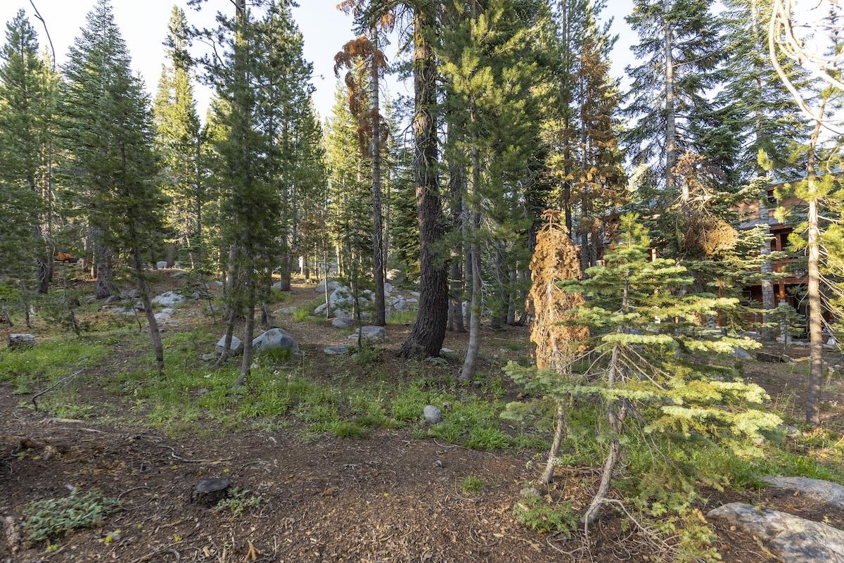 7928 Acorn Road Soda Springs, CA 95728 - Photo 7 of 15 Gallery Image 7