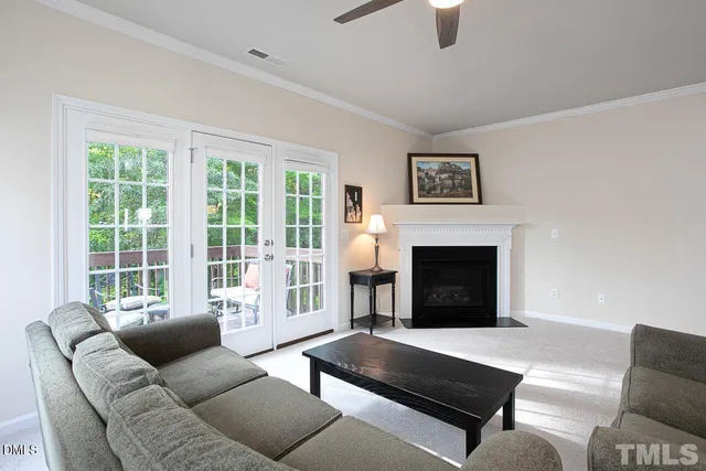 a living room with furniture window and a fireplace