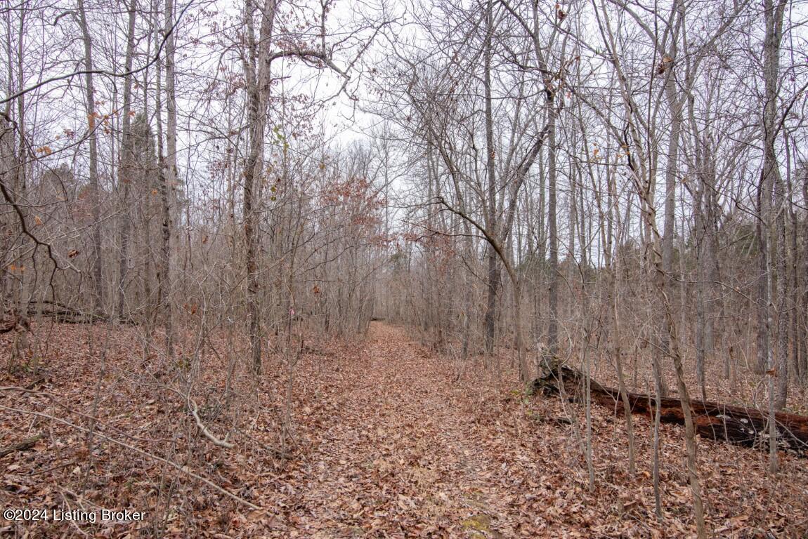 117 Rhodelia Road Payneville, KY 40157 - Photo 47 of 69 117 Rhodelia Road-46