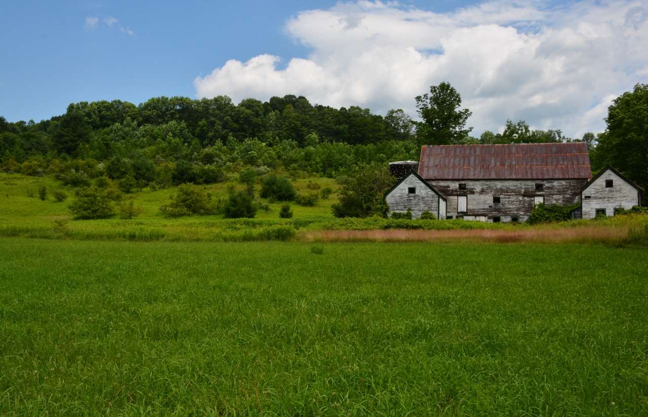 3136 Pomfret Road Pomfret, VT 05091 - Photo 5 of 21