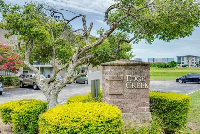 a view of a garden with an outdoor space