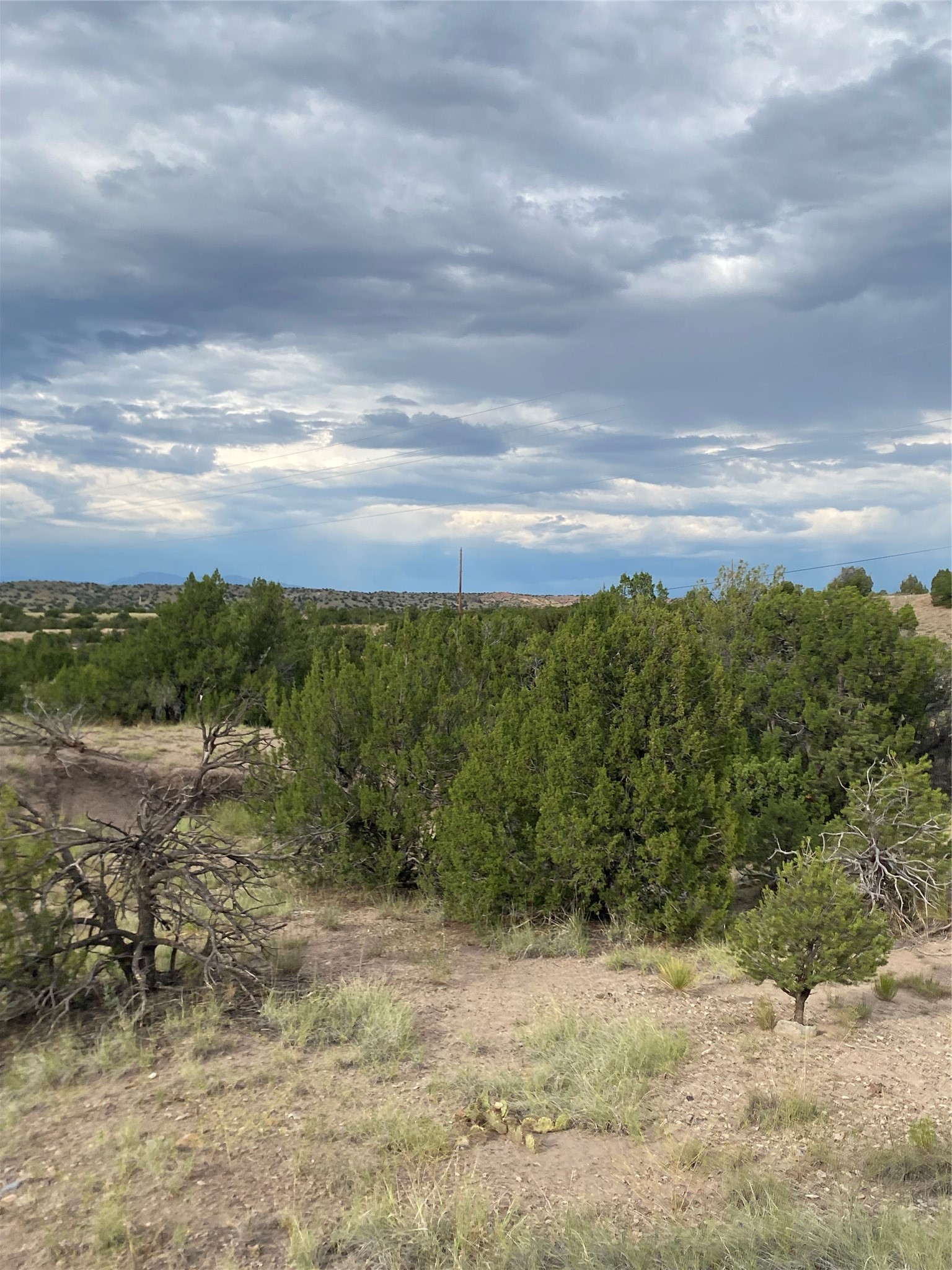 44 A Gold Mine Road, Unit A Cerrillos, NM 87010 - Photo 13 of 41