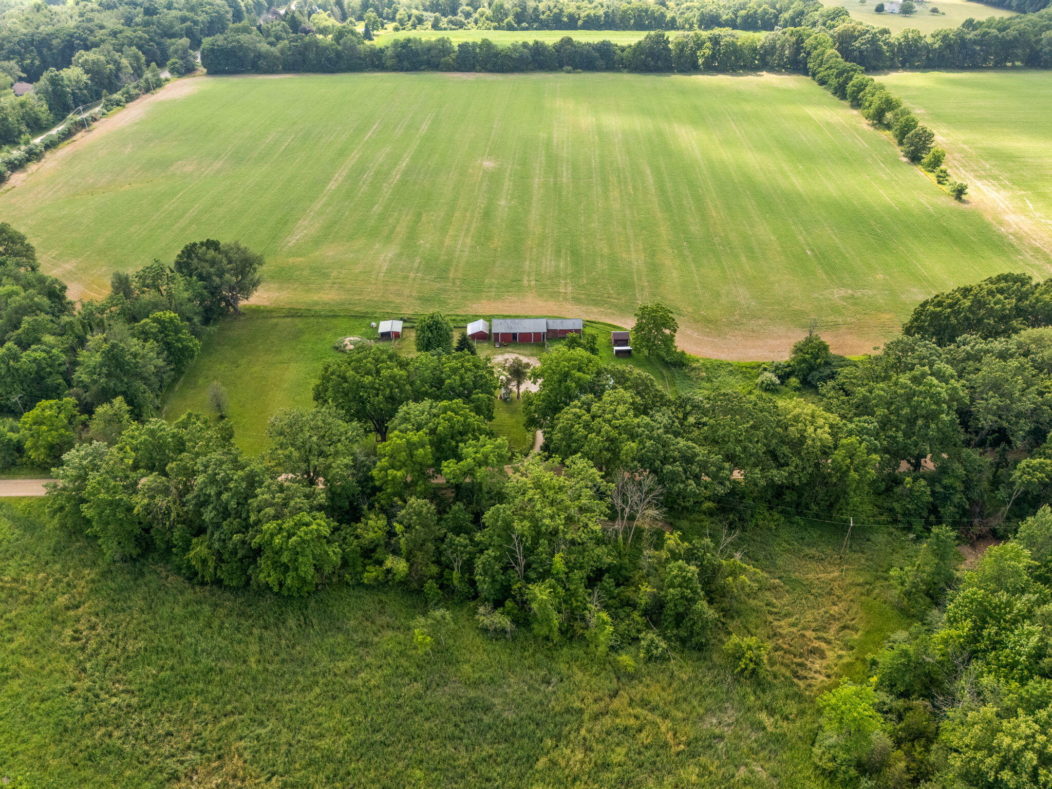 11230 Hoyt Road Munith, MI 49259 - Photo 76 of 81 11-web-or-mls-DJI_20260702160410_0390_D