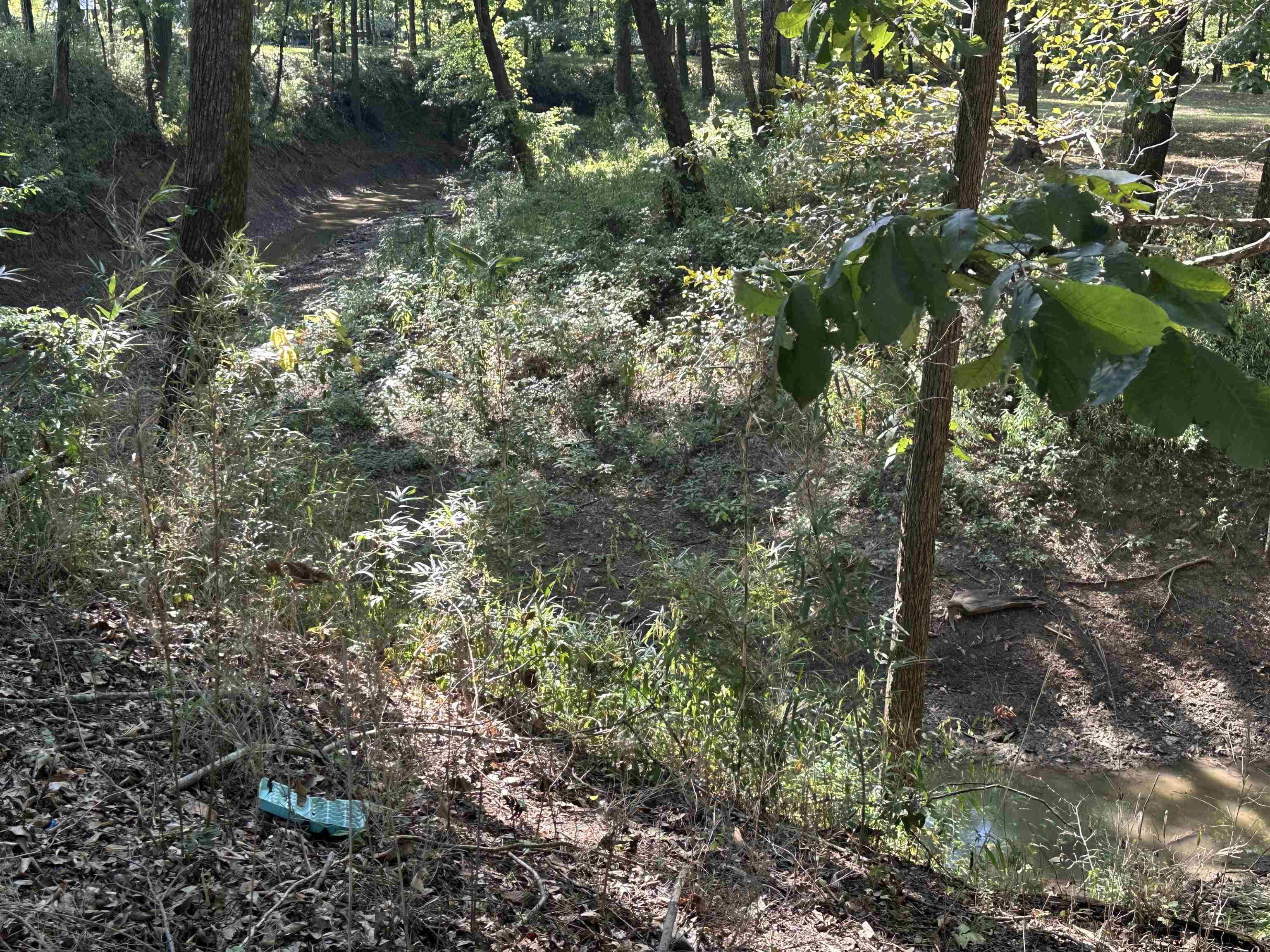 780 Towboat Lane Adamsville, TN 38310 - Photo 1 of 12 a view of a forest