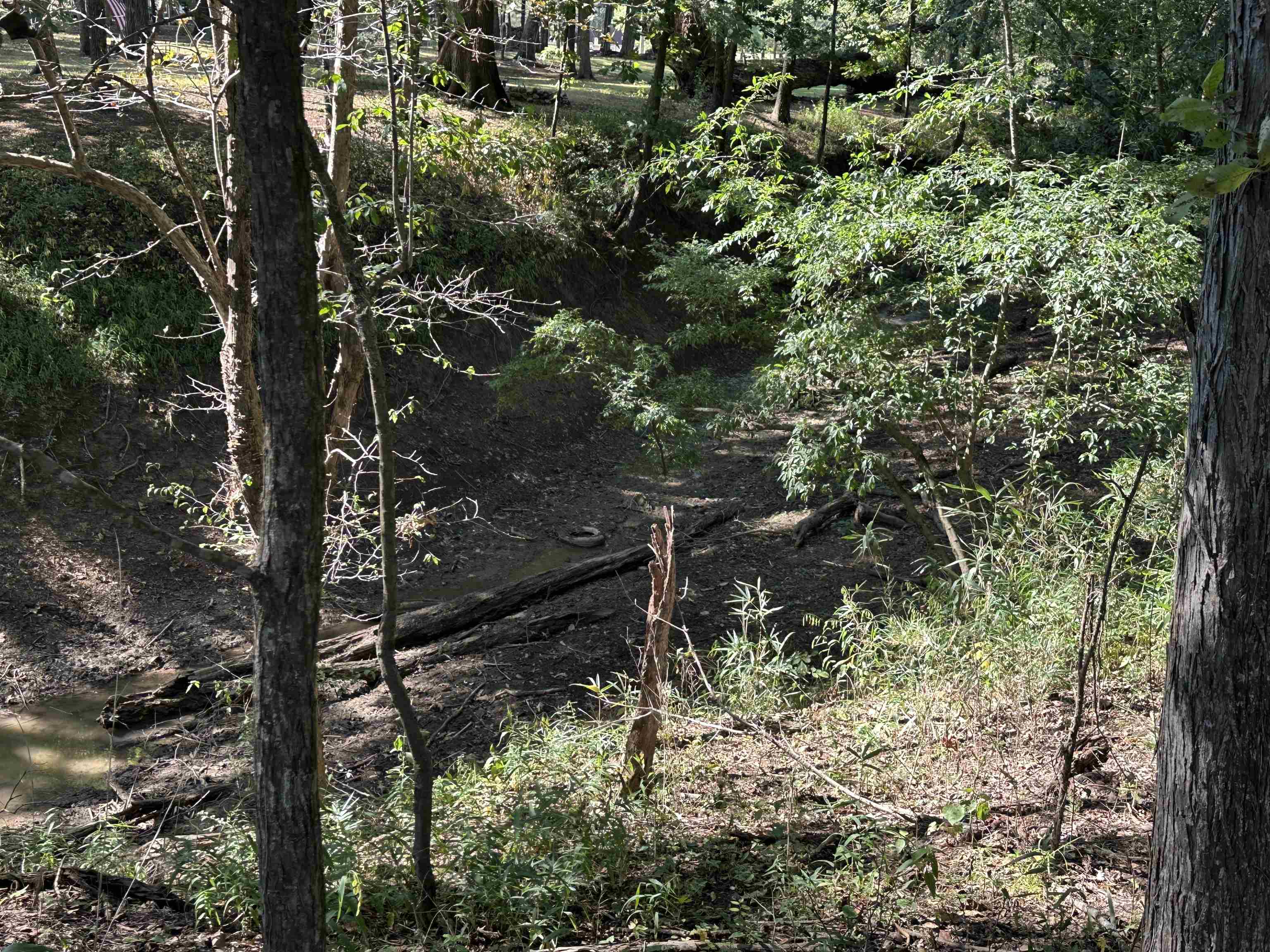 780 Towboat Lane Adamsville, TN 38310 - Photo 12 of 12 a backyard of a house with lots of green space