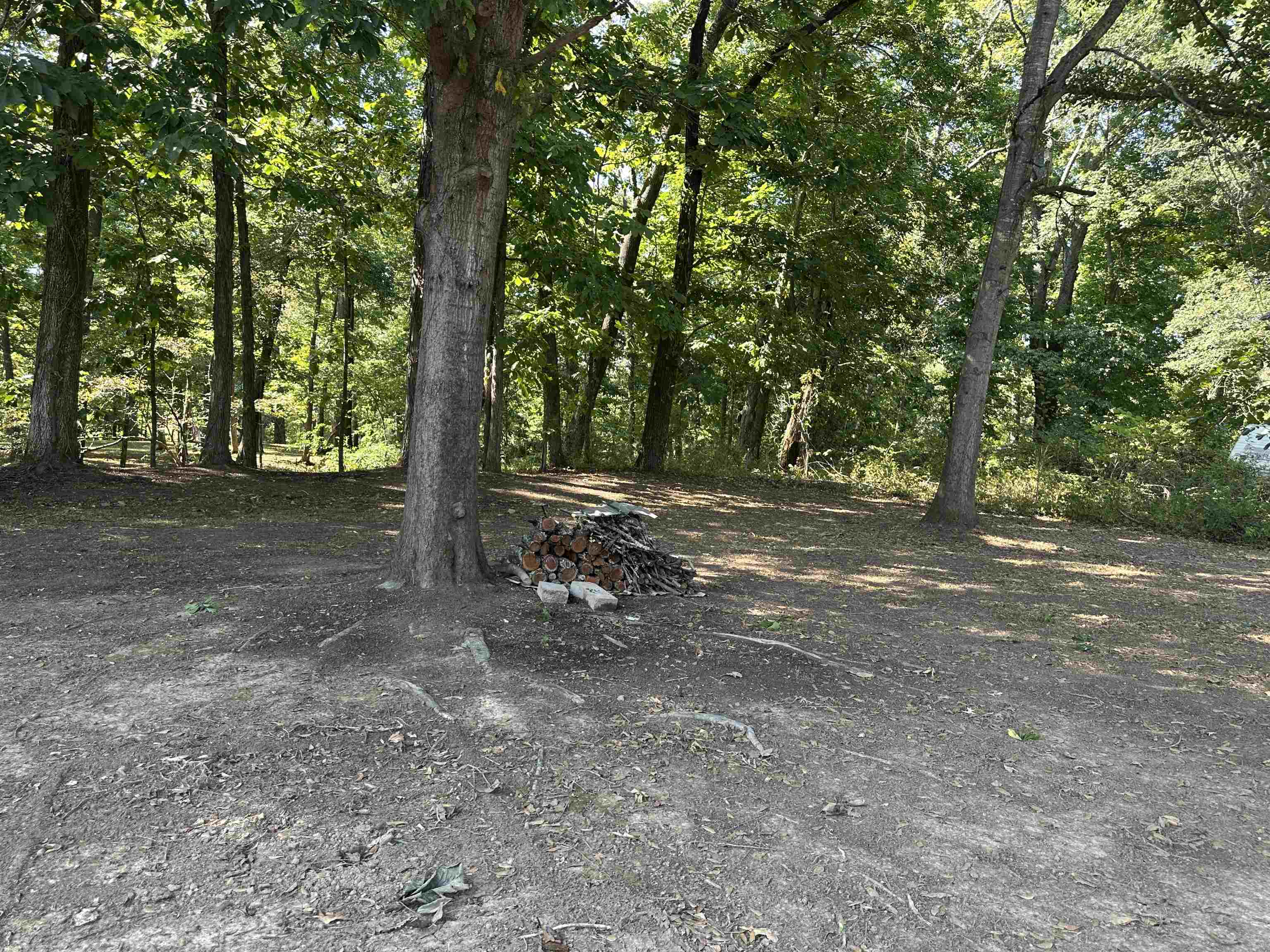 780 Towboat Lane Adamsville, TN 38310 - Photo 10 of 12 a view of outdoor space with trees