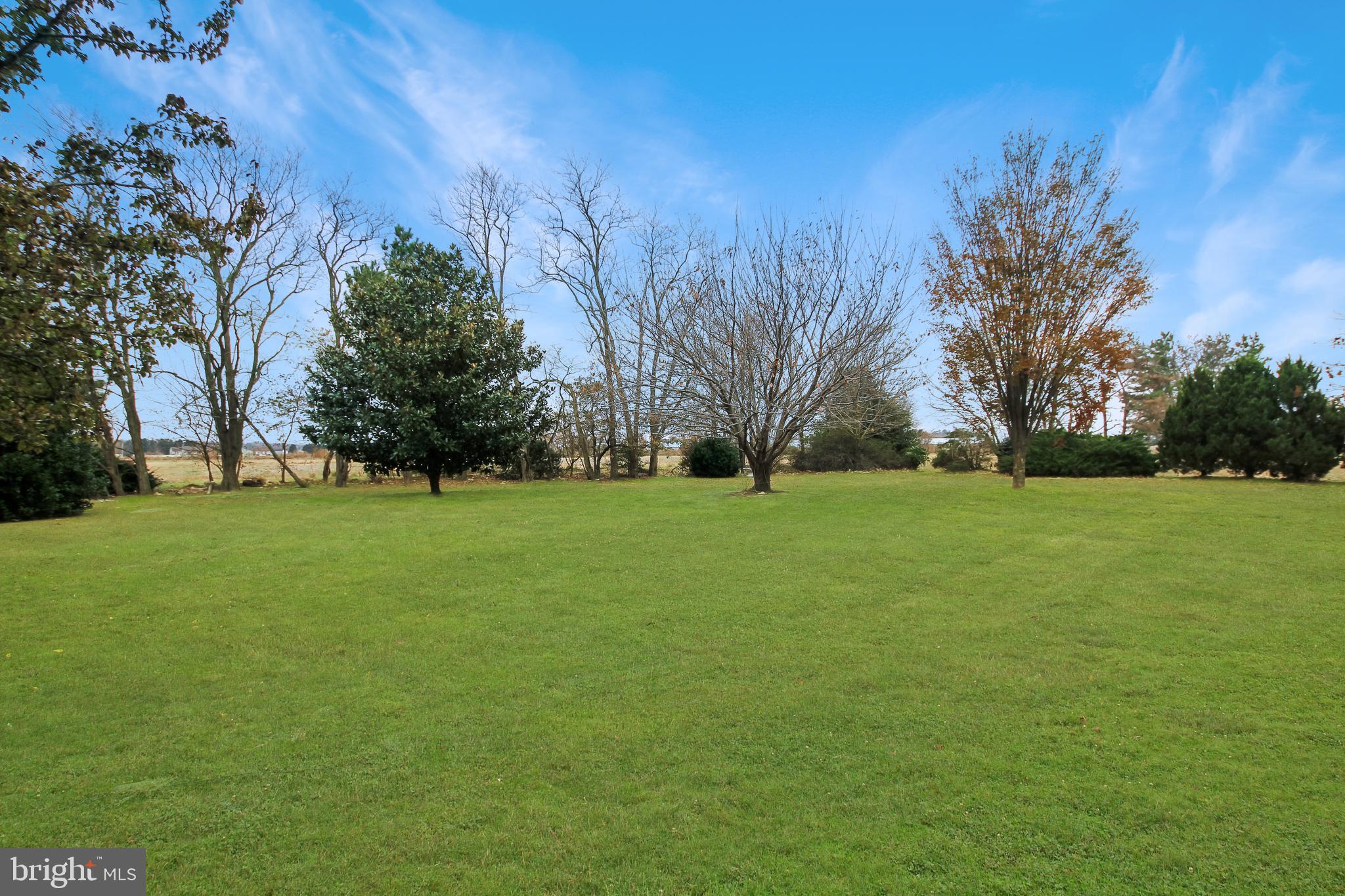 8302 Sharptown Road Laurel, DE 19956 - Photo 16 of 16 Back yard