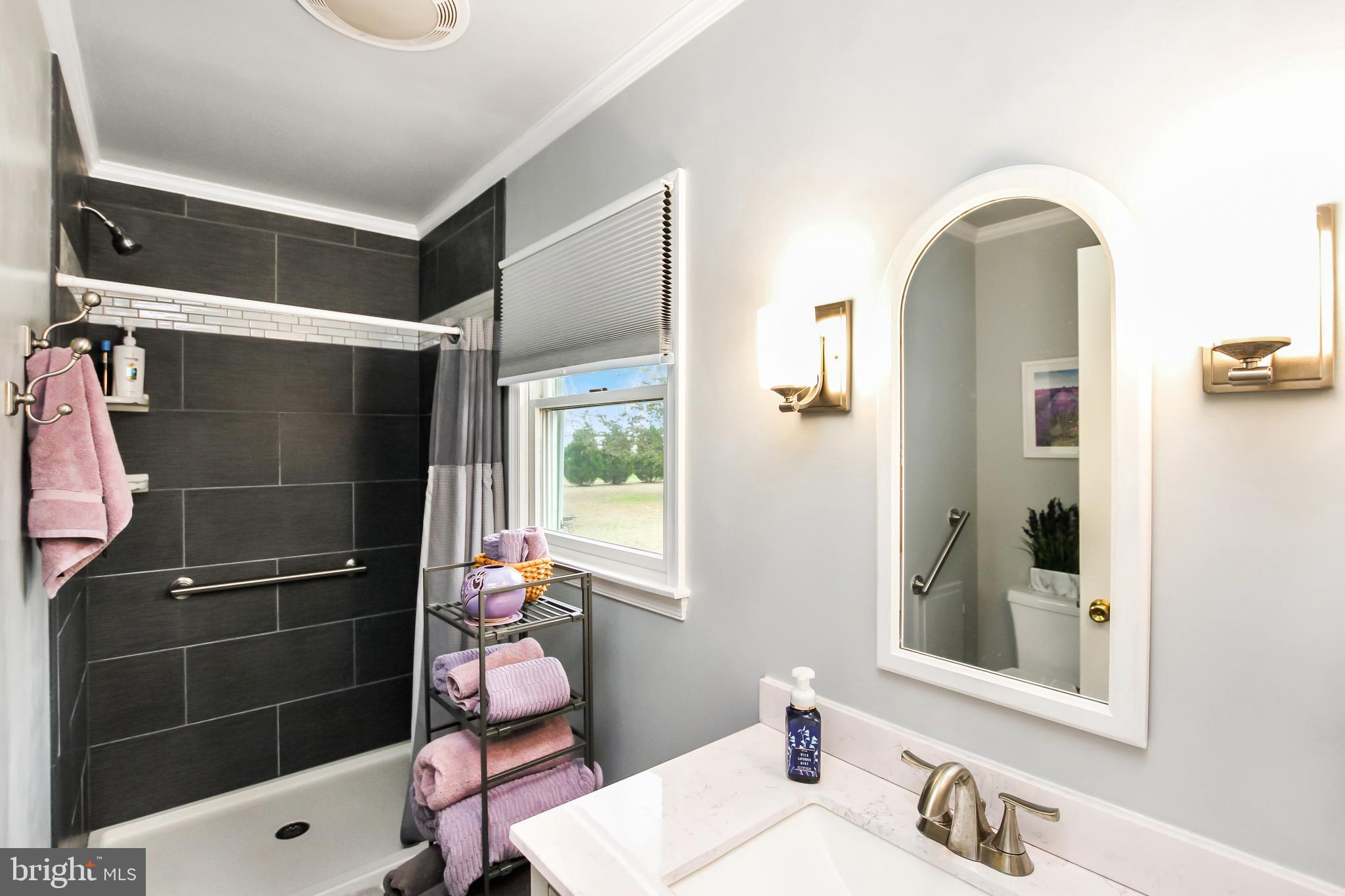 8302 Sharptown Road Laurel, DE 19956 - Photo 9 of 16 Master Bathroom