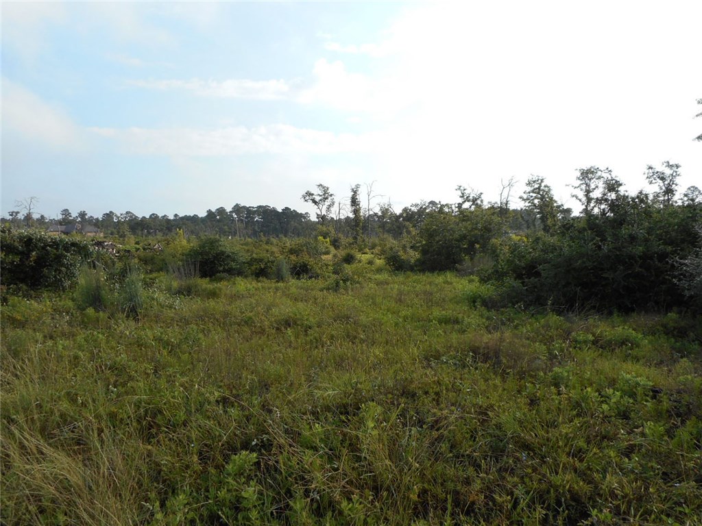 Tbd Porter Road Bastrop, TX 78602 - Photo 1 of 1 Gallery Image 1