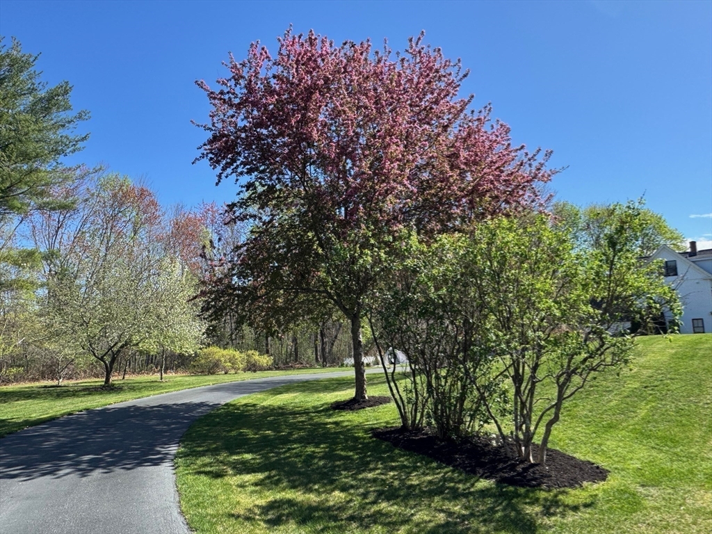 47 Springdale Avenue Dover, MA 02030 - Photo 29 of 33