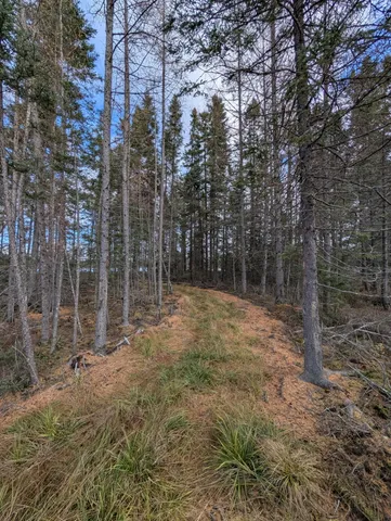 $65,000 | Vl Slough Lake Road, Gwinn, MI 49841