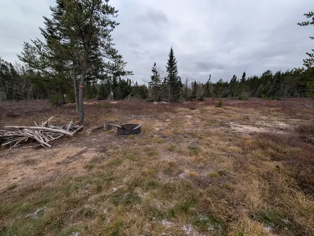 $65,000 | Vl Slough Lake Road, Gwinn, MI 49841