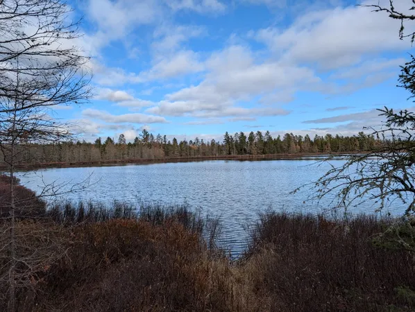 $54,900 | Vl Slough Lake Road, Gwinn, MI 49841