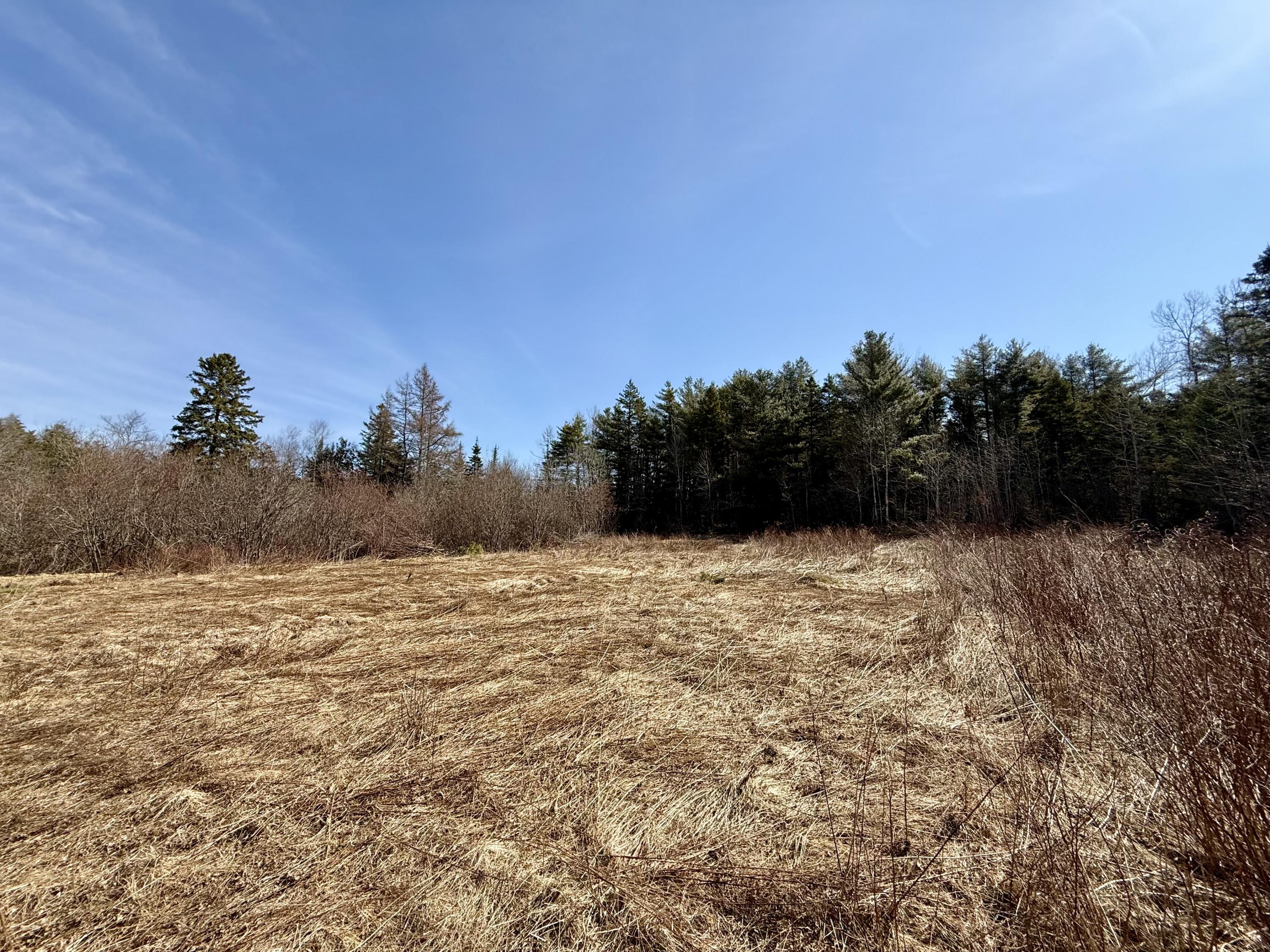 30 Harrison Road Dennysville, ME 04628 - Photo 78 of 78 IMG_9041